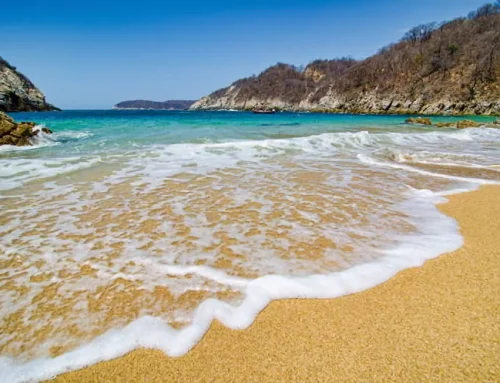 Unas vacaciones relajadas en la playa ( Cloned )