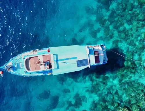 Paseos en barco, naturaleza y snorkel ( Cloned )